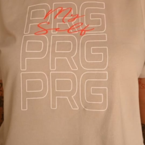 blusa feminina de telinha (cópia)